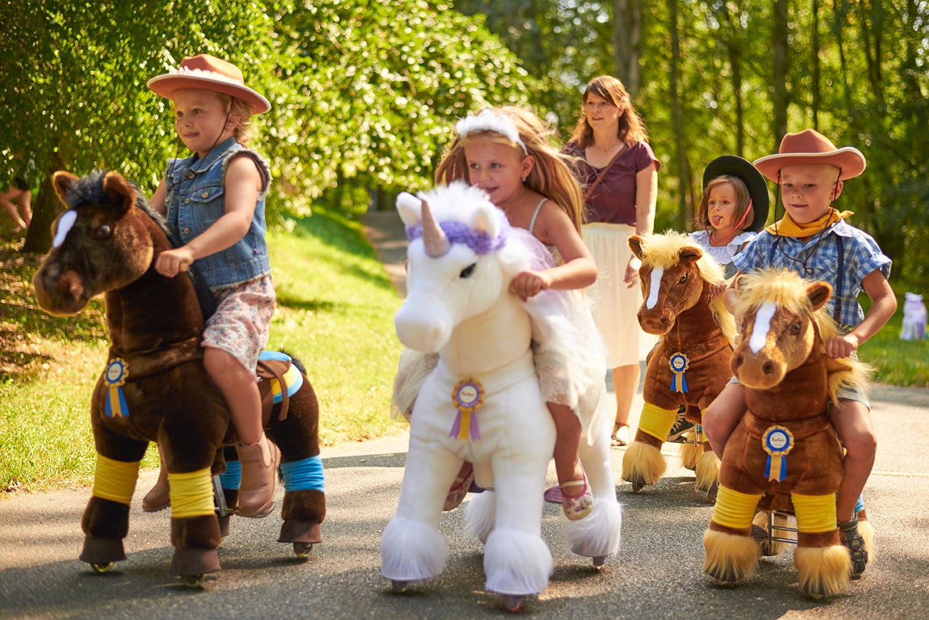 PonyCycle Pony reiten für Firmen Vereine und Privat