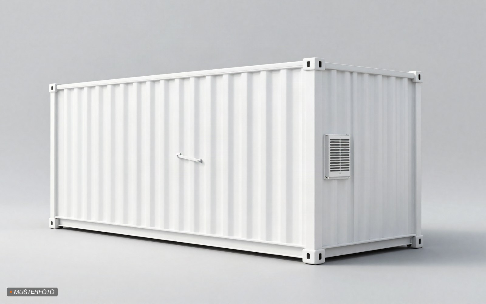 Kühl-/Gefriercontainer 10 ft mit Metzger-Tür mieten