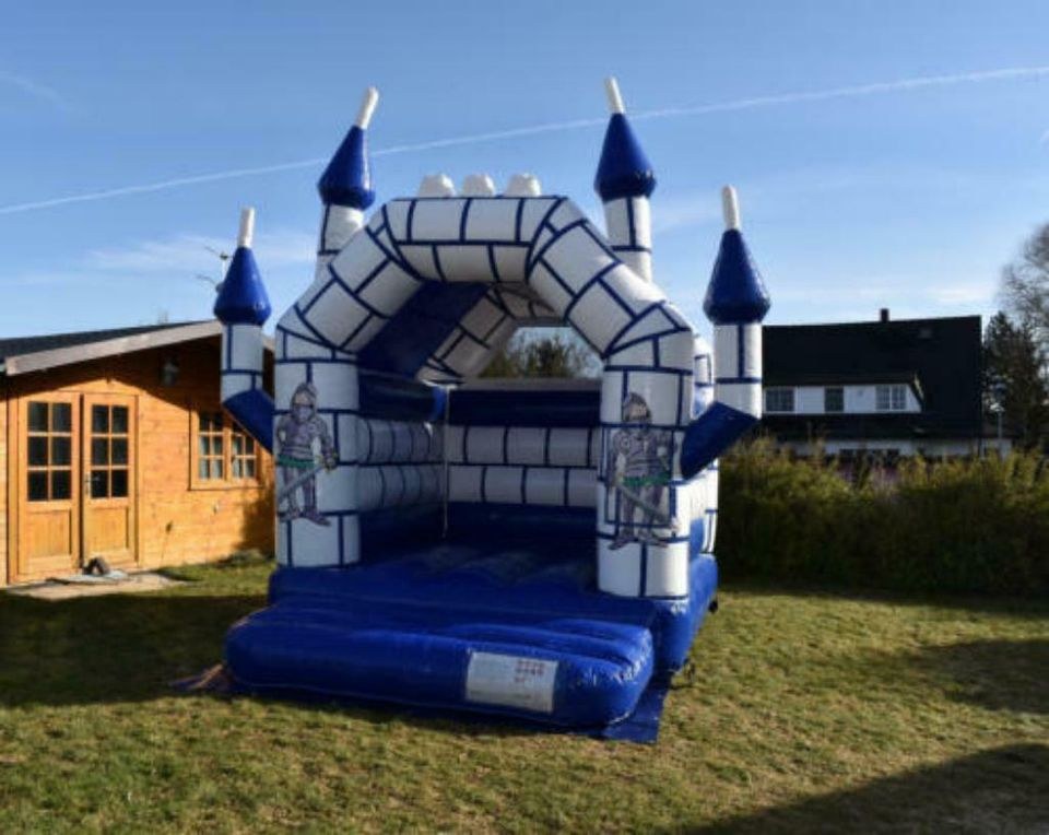 Hüpfburg Schloss Einstein Dach mieten bei Hopser Hüpfburg Verleih – 3