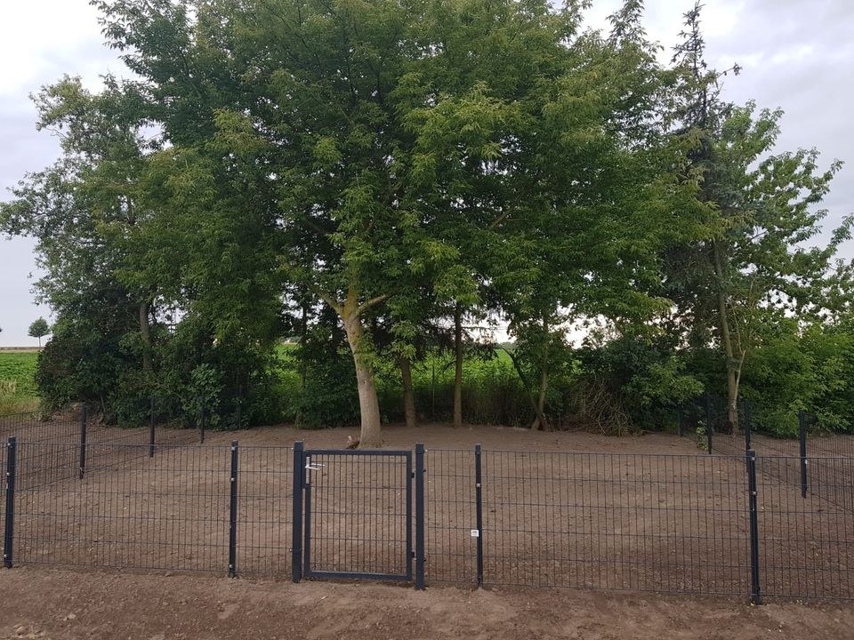 Freizeitgarten Kleingarten,Wohnmobil mieten bei Borgsdir – 2
