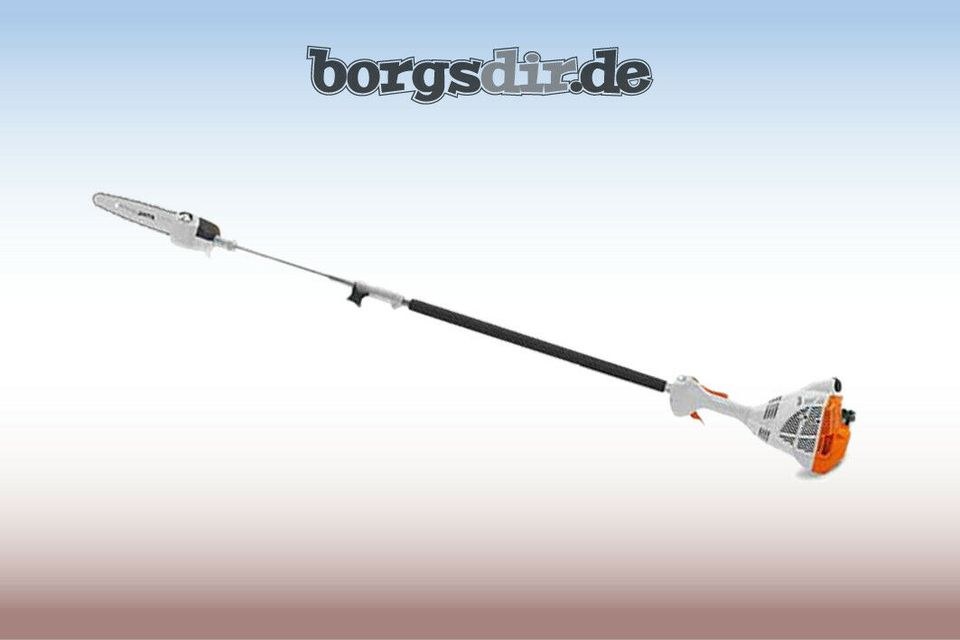 Stihl Astsäge Hochentaster Benzinsäge mieten bei Borgsdir