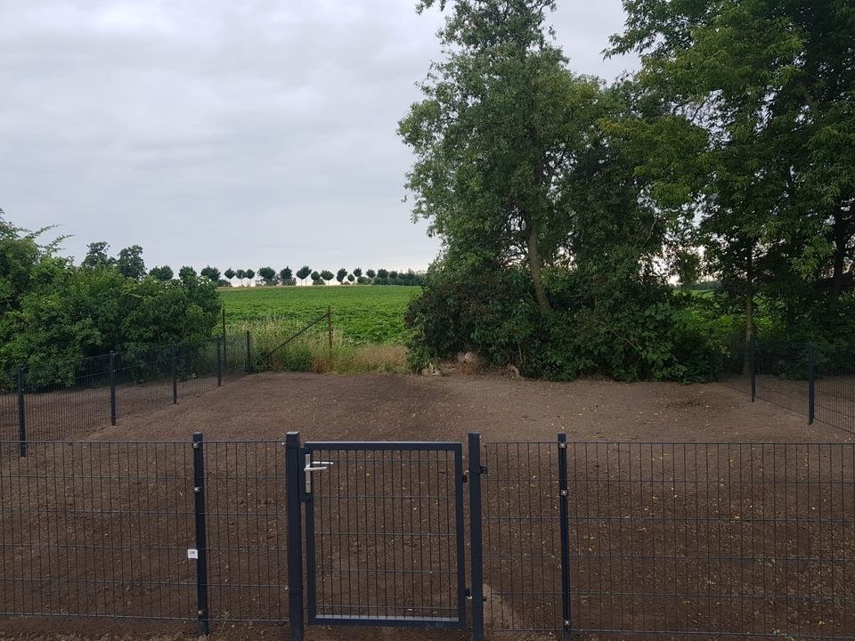 Freizeitgarten Kleingarten,Wohnmobil mieten bei Borgsdir – 3