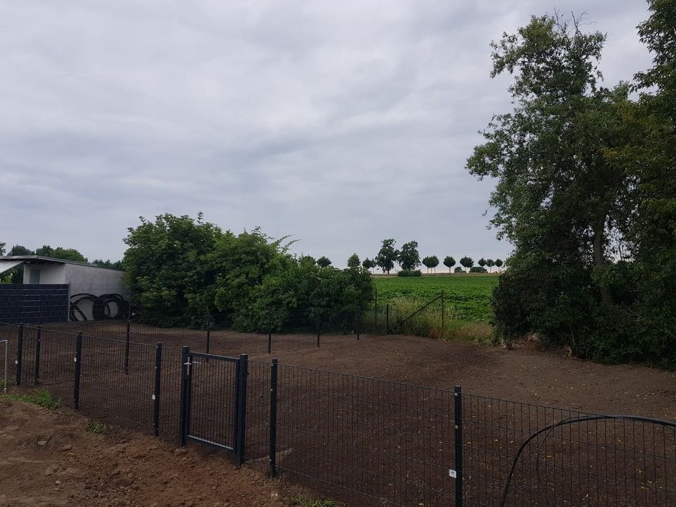 Freizeitgarten Kleingarten,Wohnmobil mieten bei Borgsdir