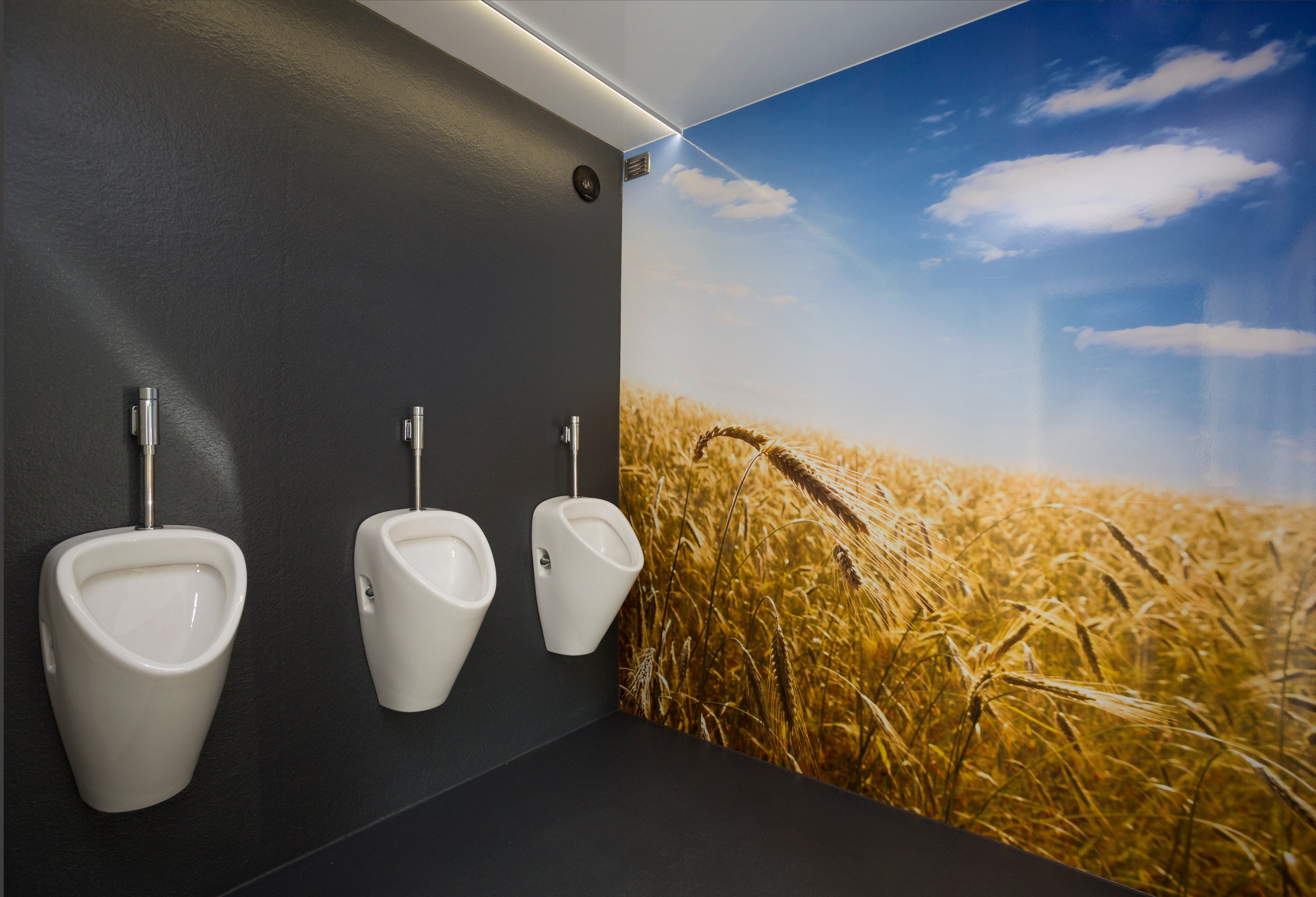 Toilettenwagen Standard+ M – 4