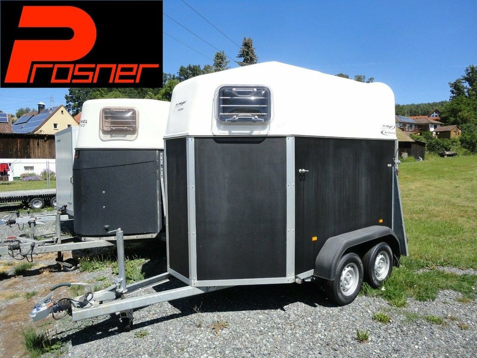 Pferdeanhänger Transportanhänger 100 Km h mieten in Neudrossenfeld