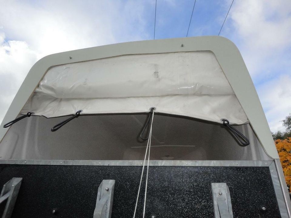 er Pferdeanhänger 1200 kg BE frei mieten in Neudrossenfeld – 4