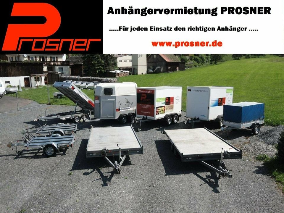 Pferdeanhänger Transportanhänger 100 Km h mieten in Neudrossenfeld – 4