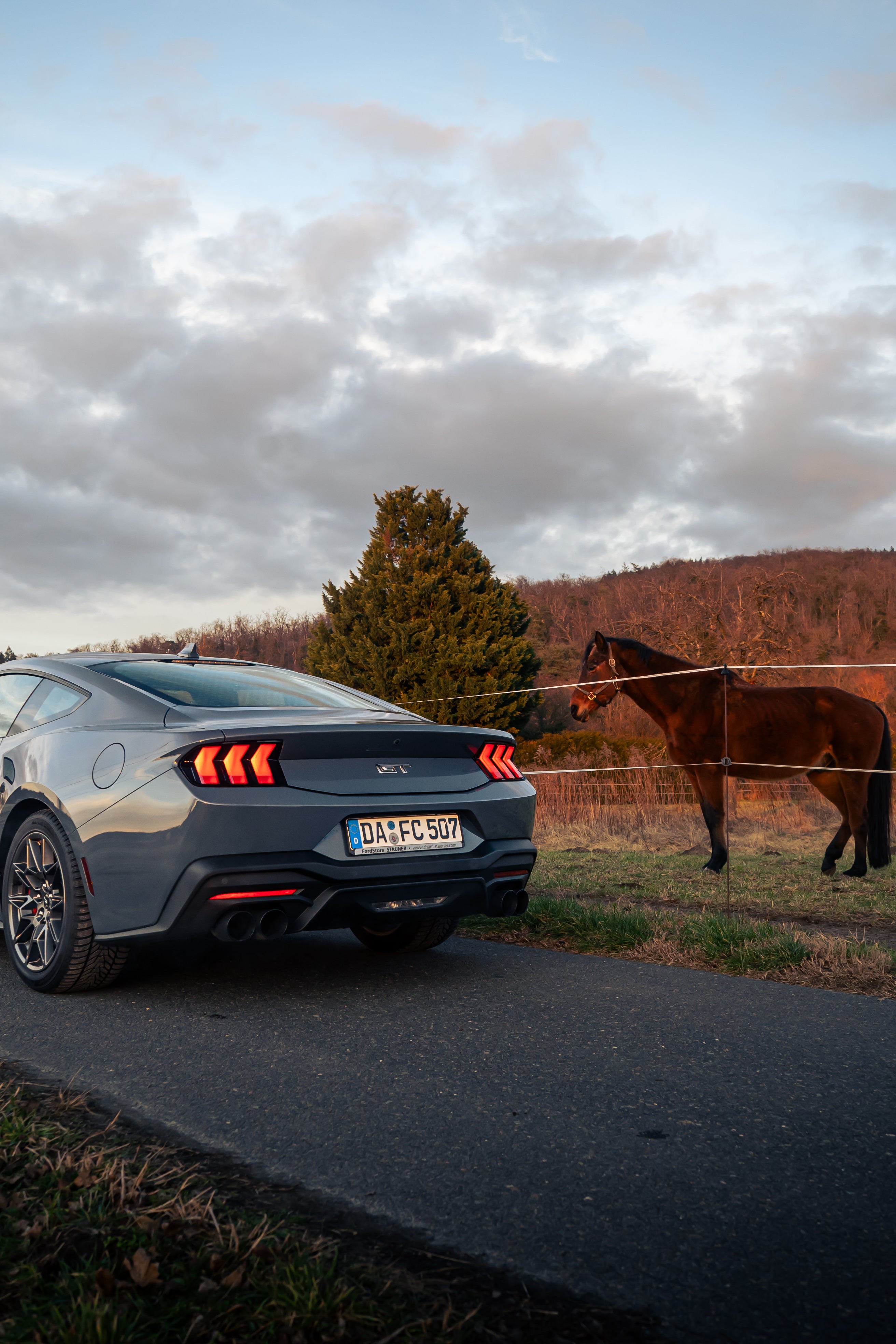 Ford Mustang GT Fastback V8 S650 neues Modell Sportwagen mieten – 4