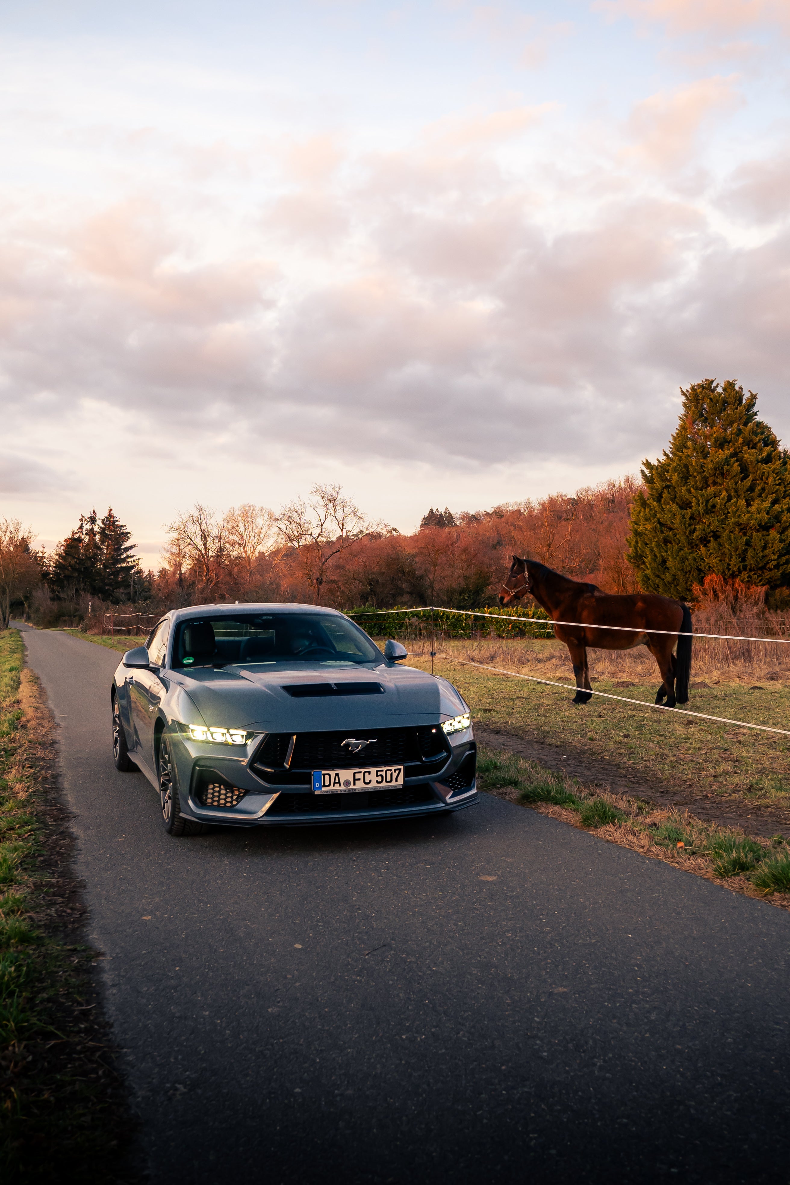 Ford Mustang GT Fastback V8 S650 neues Modell Sportwagen mieten – 2
