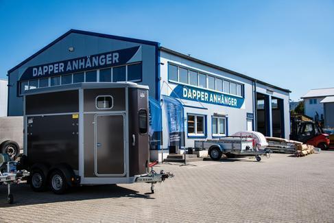 gebremster Hochlader elektrischer Dreiseitenkipper mit Gitteraufsatz 3,05x1,80x1,05m- 2700kg Anhänger – 4