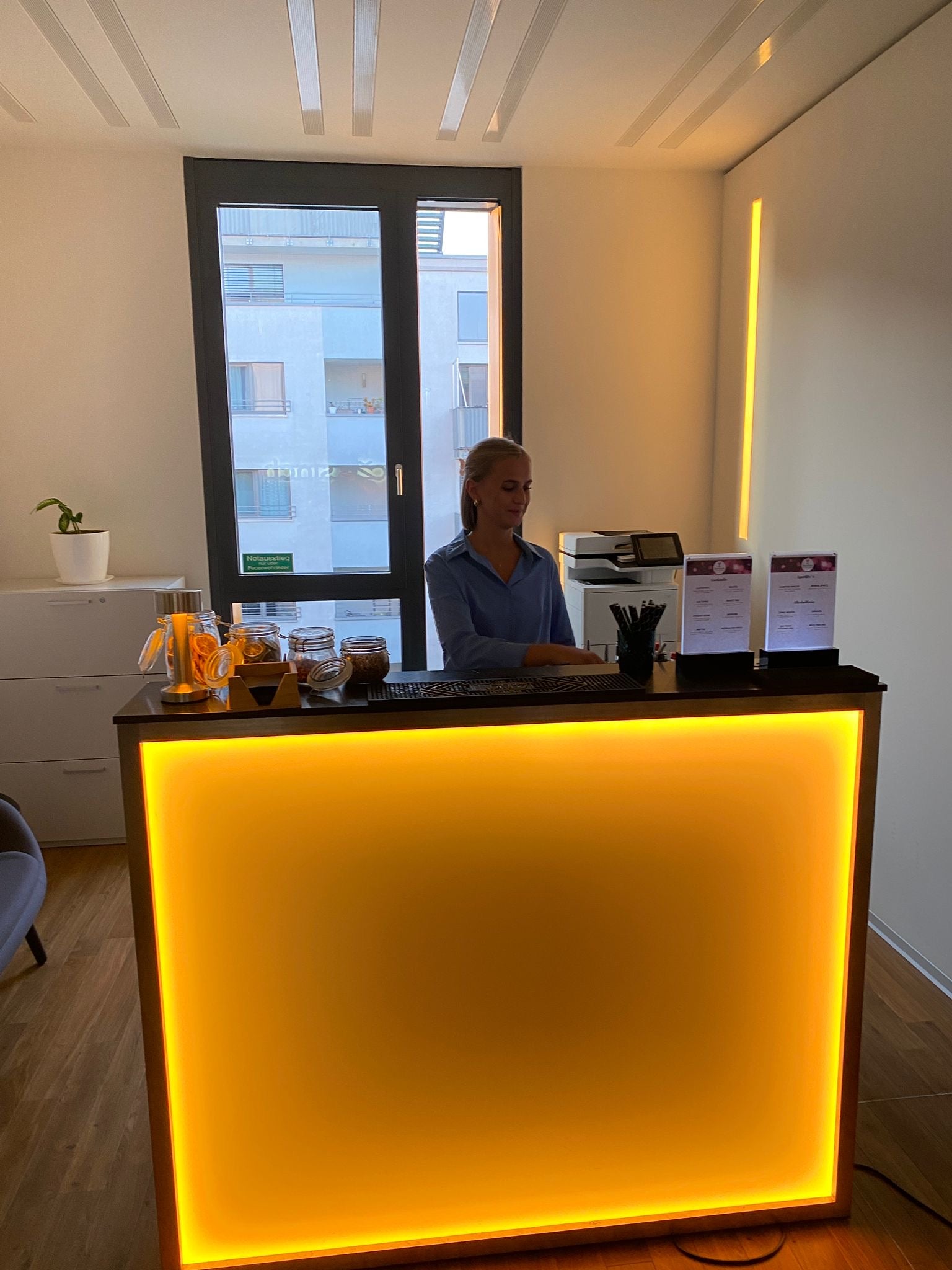Bar Theke mit Beleuchtung – 4