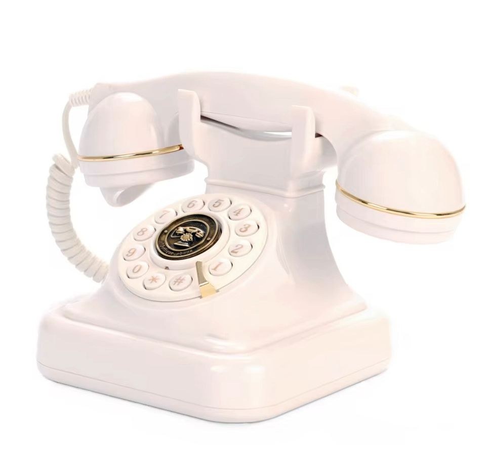 Audio Gästebuch Telefon mieten in Lambsheim – Sound, der ankommt – 4