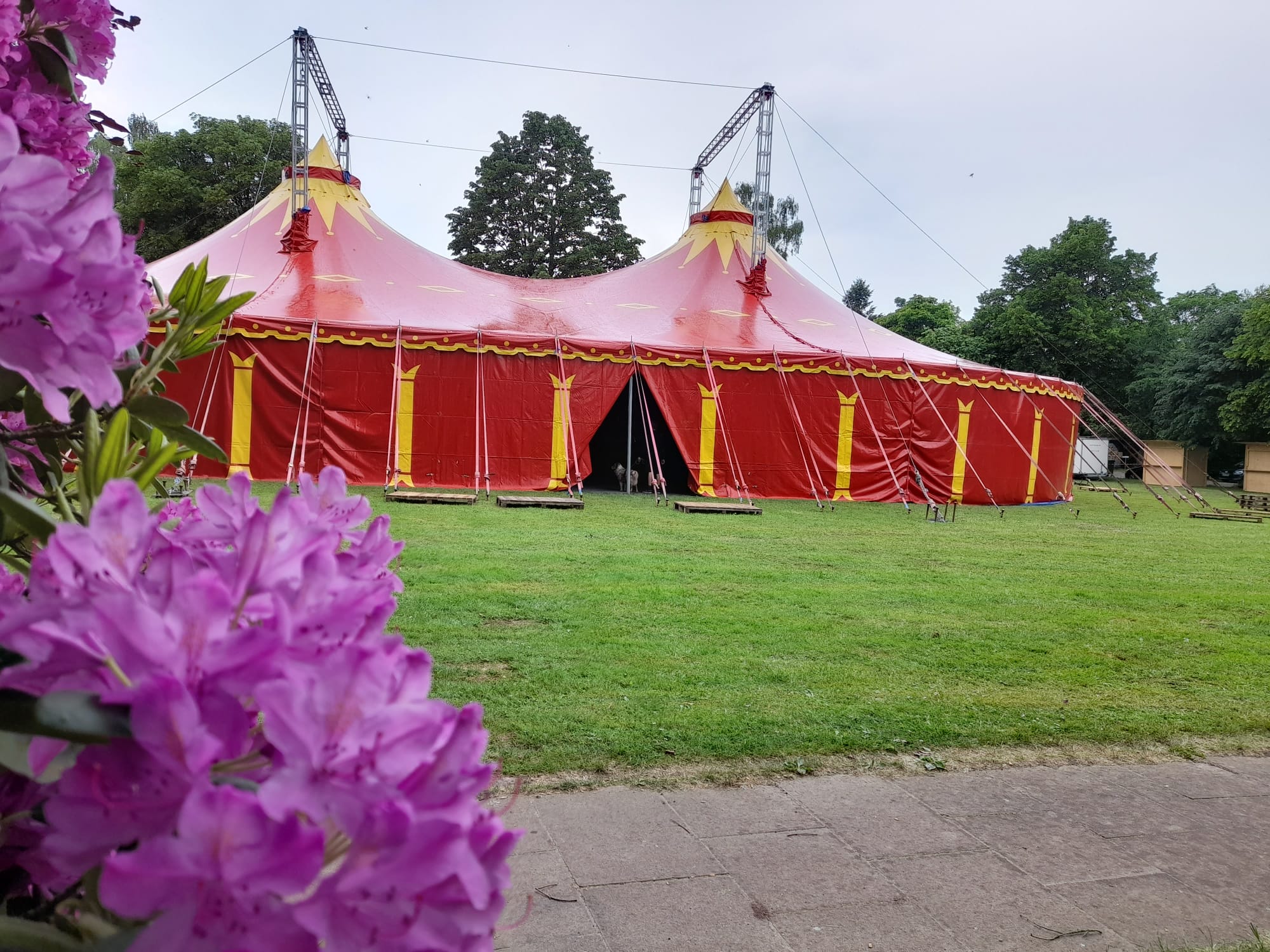 Zirkuszelt 780m² - 4 Master - rot/gelb - Gala -Firmenevent - Festival