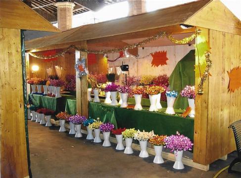 Verkaufshütte, Doppelbude z.B. für den Weihnachtsmarkt, Marktstand, Bude, Weihnachtsmarktbude, Verkaufsstand,Teststation, Testbude, Corona – 3