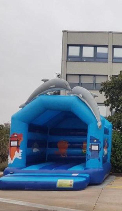 Hüpfburg "Flipper" 4m x 4m – 2