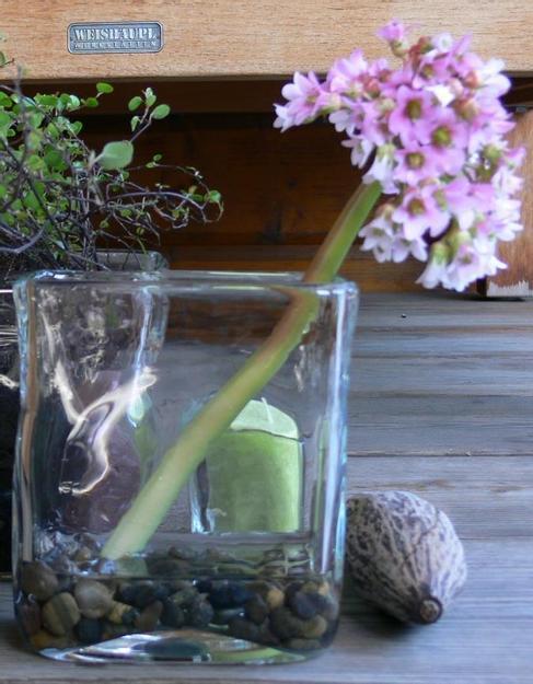 Bergenie, Quader-Vase mit buntem Kies