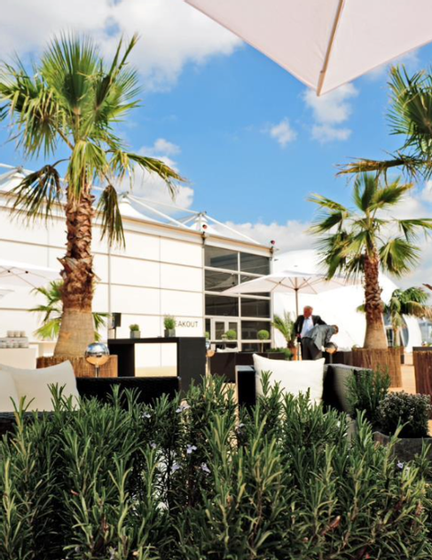Washingtonia L mit Weidenmatte