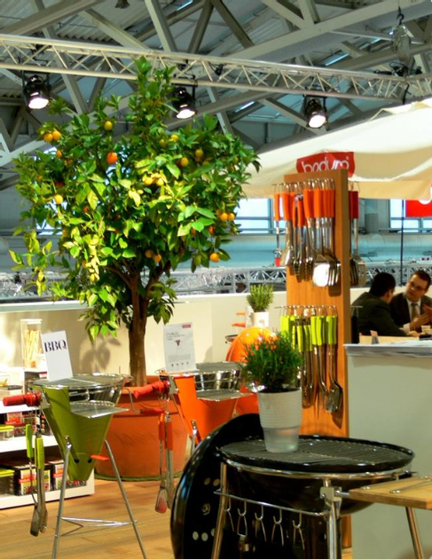 Orangenbaum mit individueller verkleidung