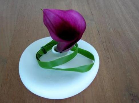 Blüten in Spiegelei-Vase