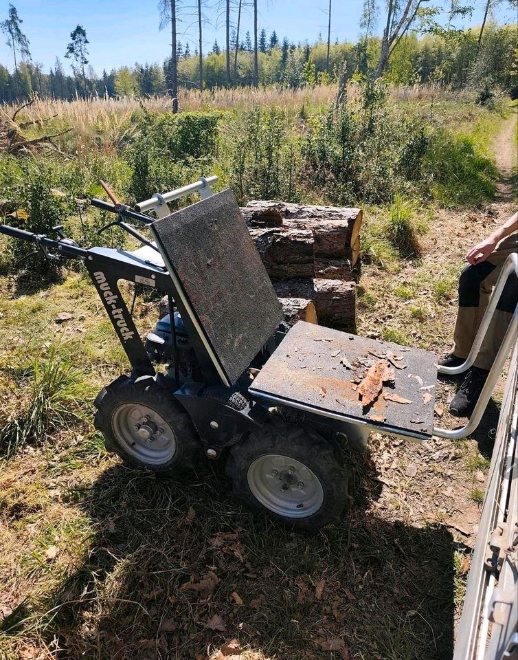Motorschubkarre Minidumper mieten in Bad Münstereifel – 2