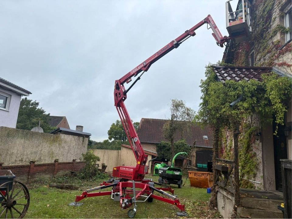 Schredder Häcksler Greenmech 160 Quadchip 16cm mieten in Zehdenick – 3