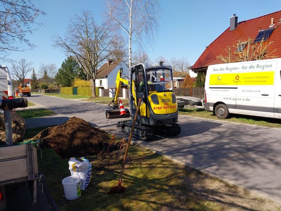 Minibagger Wacker Neuson ET18 EZ36 Baumaschinen mieten in Zehdenick – 2