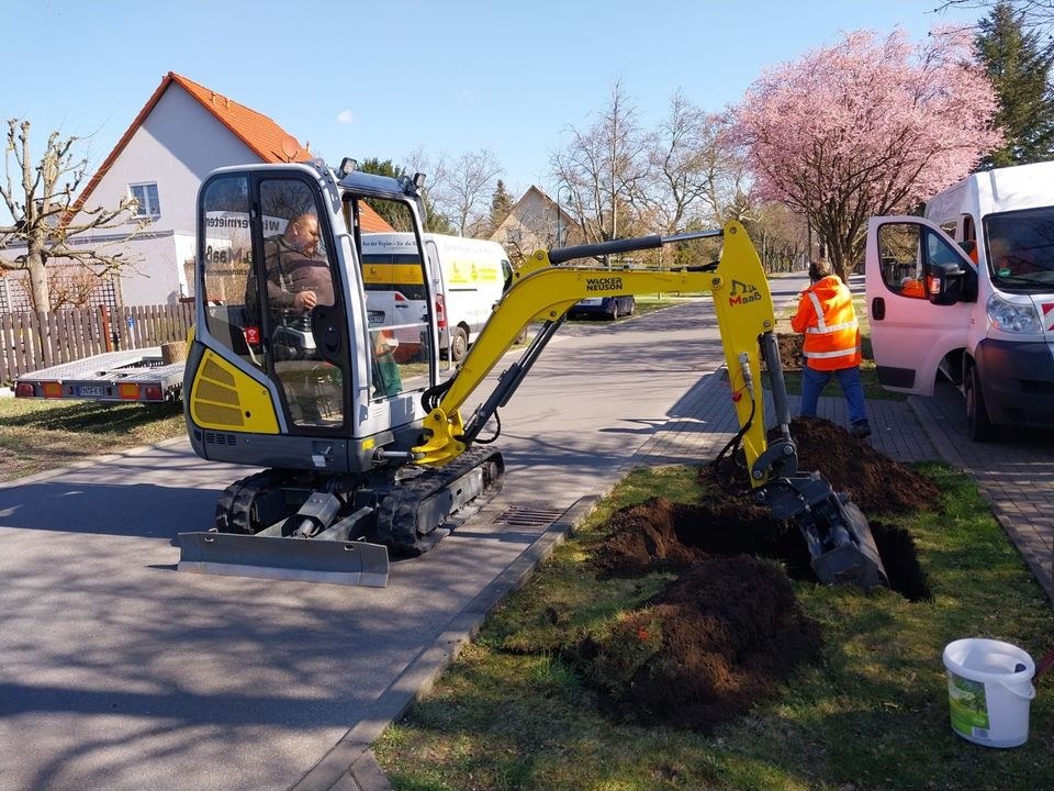 Minibagger Wacker Neuson ET18 EZ36 Baumaschinen mieten in Zehdenick – 3