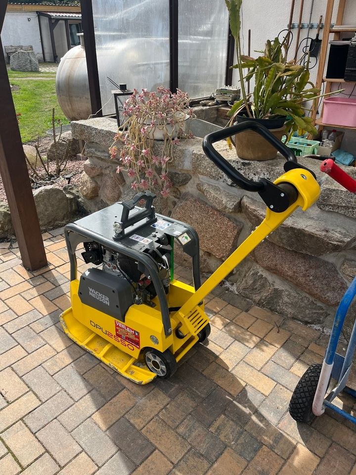 Wacker Neuson Rüttelplatte 75 kg 166 181 mieten in Zehdenick