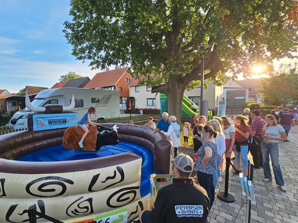 Bullenreiten mieten in Südharz – Rodeobulle mit Personal – 4