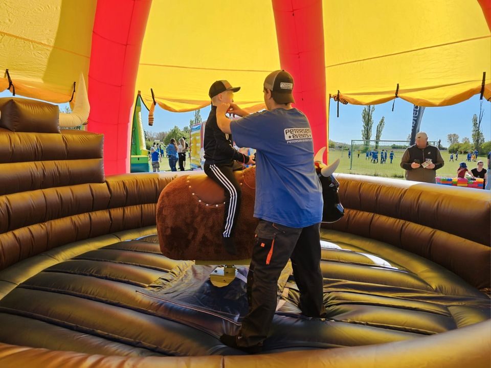 Bullenreiten mieten in Südharz – Rodeobulle mit Personal – 5