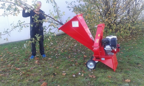 Häcksler bis 8 cm Aststärke, Benzin – 2