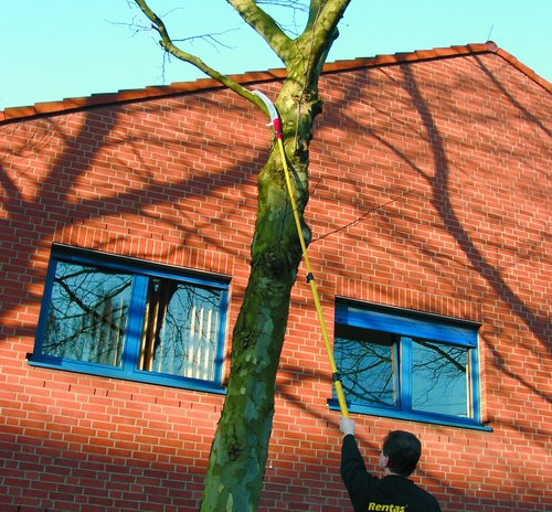 Astsäge mit Teleskopstange, bis 5 m Arbeitshöhe, Hand – 3