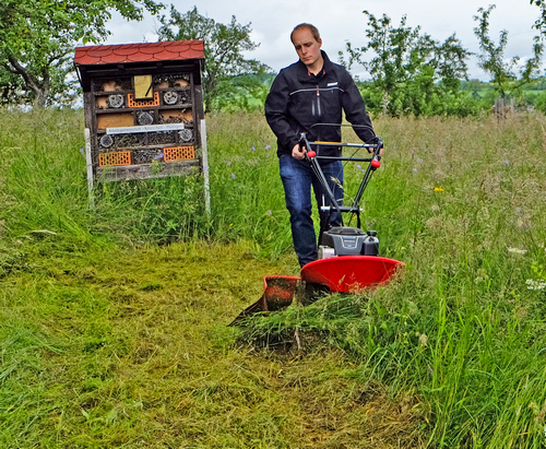 Kreiselmäher, 64 cm Schnittbreite – 3