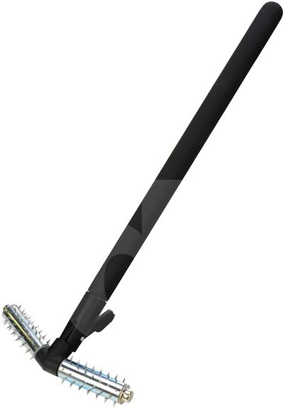 Stachelwalze