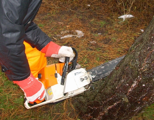 Kettensäge, 50 cm Schwertlänge, Benzingemisch – 2