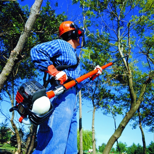Astsäge, 30 cm Schwertlänge, bis 5 m Arbeitshöhe, Benzingemisch – 2