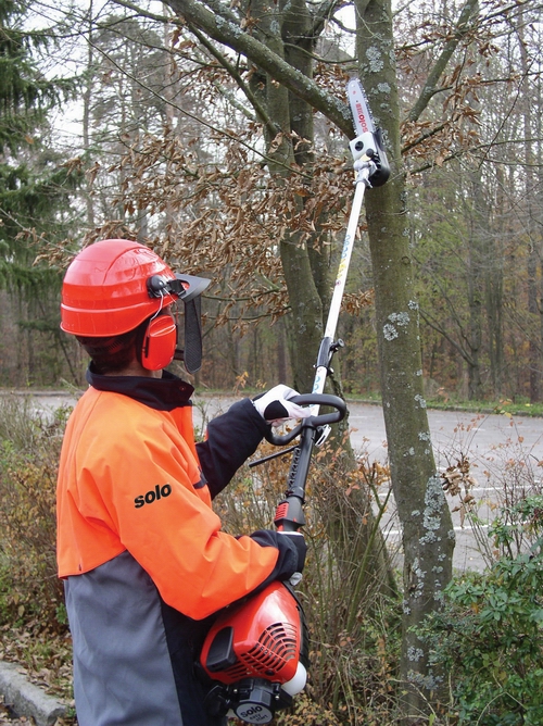 Astsäge, 25 cm Schwertlänge, bis 4 m Arbeitshöhe, Benzingemisch – 2