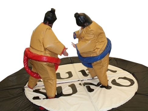 Sumo Ringen