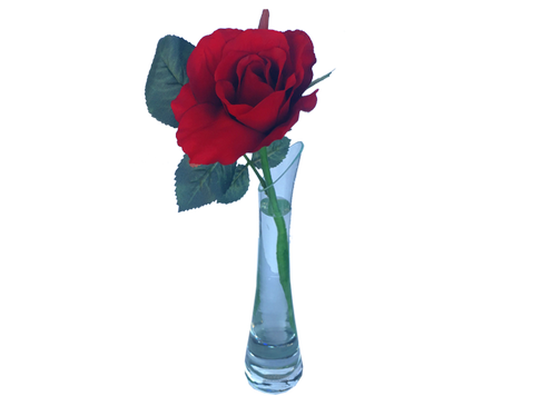 rote Rose 12er Set – 2