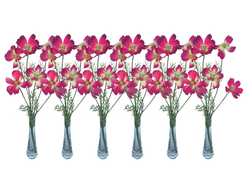 Schmuckkörbchen pink 6er Set