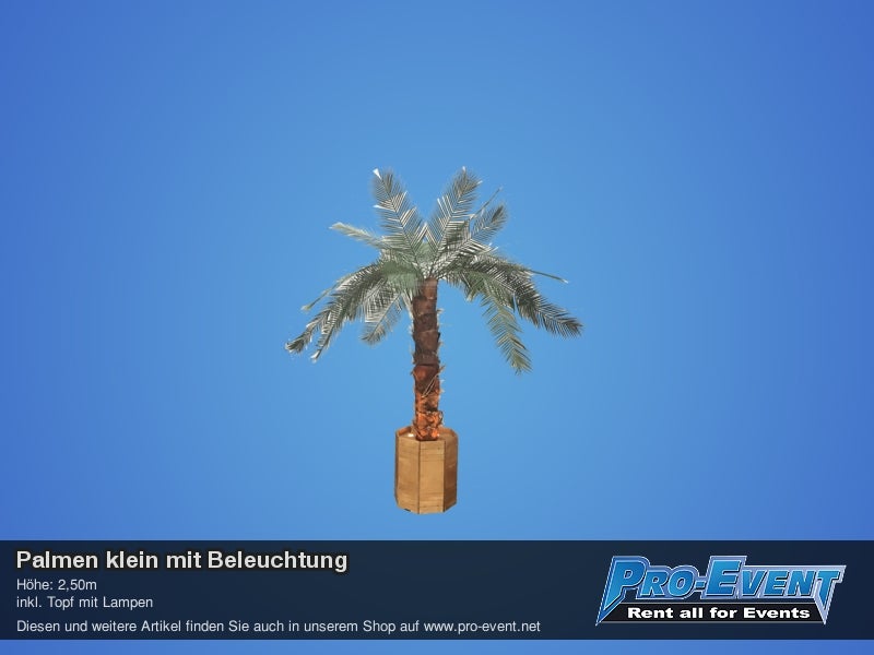 Palmen klein mit Beleuchtung – 2