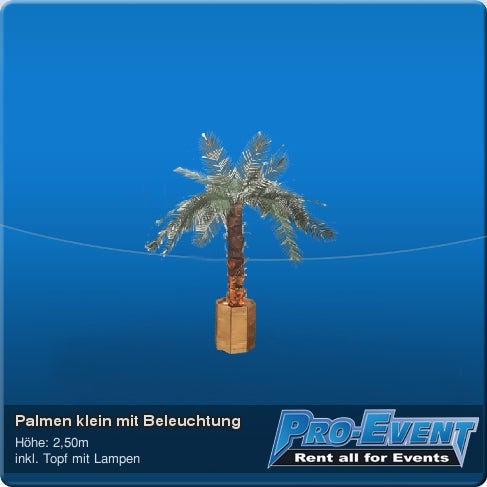 Palmen klein mit Beleuchtung