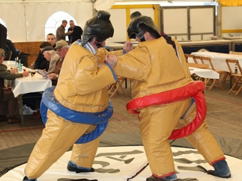 Sumo Ringen – 2