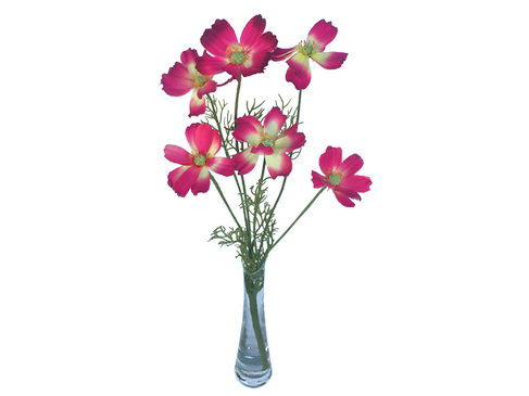 Schmuckkörbchen pink 6er Set – 2
