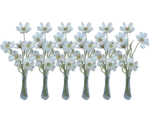 Schmuckkörbchen weiss 6er Set