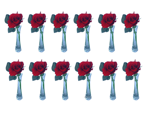 rote Rose 12er Set