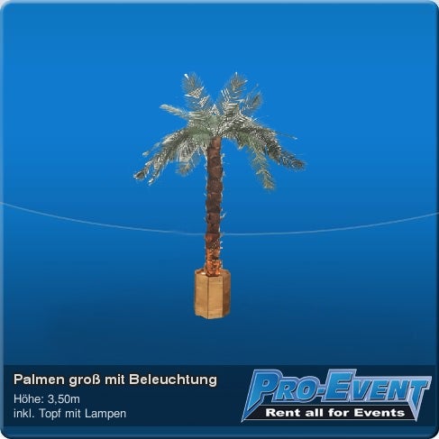 Palmen groß mit Beleuchtung