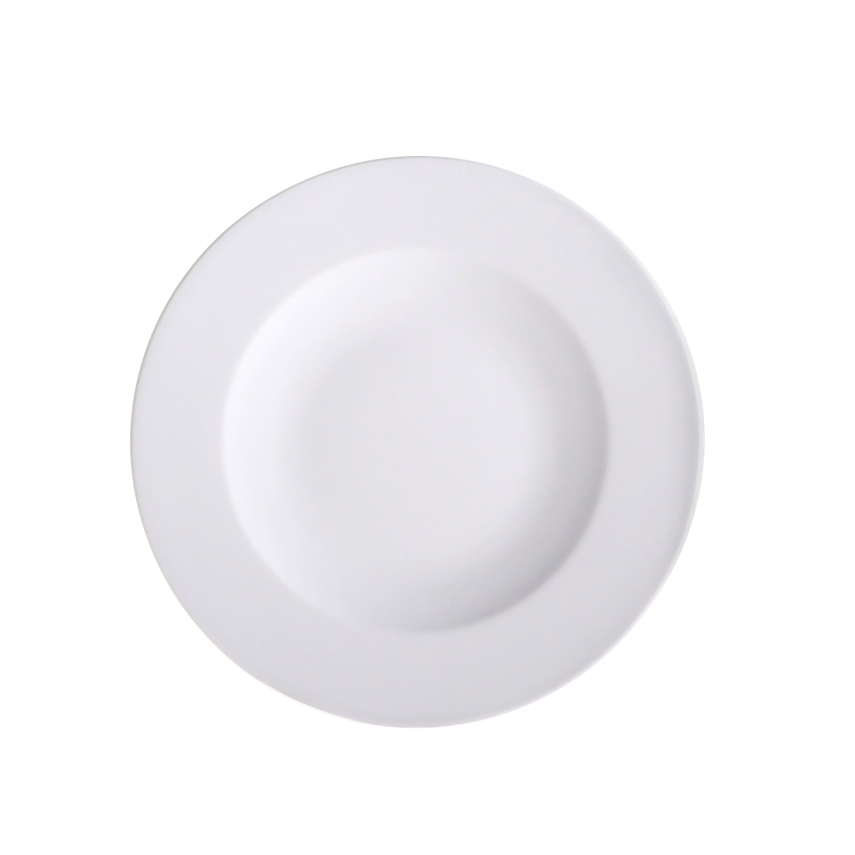 Speiseteller Ø 31 cm System Plus