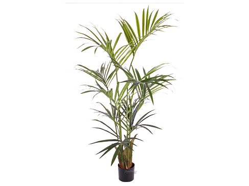Kentiapalme 150 cm Kunstpflanze Palme Pflanze Dekopflanze