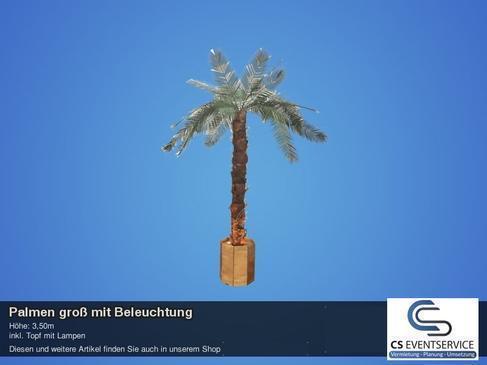 Palmen groß mit Beleuchtung Palme Beachbar Hawaii Karibik